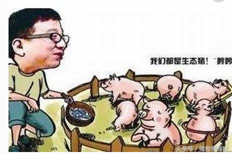 养猪重在饲养管理，而不是打个针，输个液，用个药！