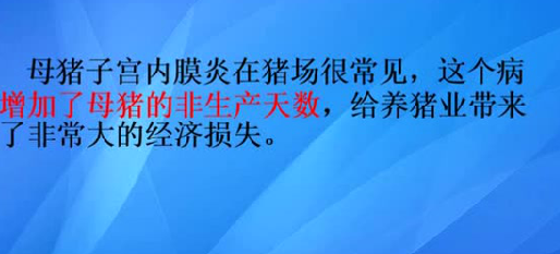 一招解决母猪子宫内膜炎，操作简单，关键省钱