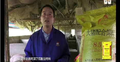 双胞胎：不是所有的大猪料产品 都具备“特仑苏”品质