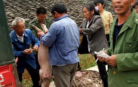 养殖业从业者达1100万，禁养之后还剩多少？