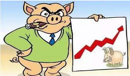 七张图回顾2017，原来养猪朋友经历了这么多