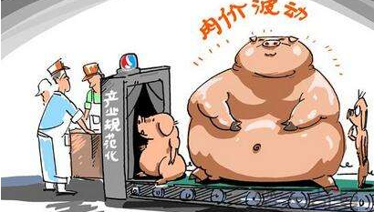 北方猪价下跌，南方猪价稳步上涨，这是猪周期搞的鬼？