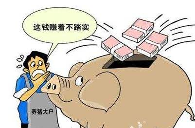 元旦放假未能带动猪价上涨，反而带来了一个大坑