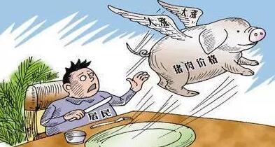 适重猪逐步出栏 需警惕1月份猪价提前回落风险