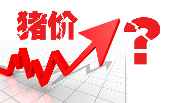 2018年，猪价如何走？你还在继续养猪吗？