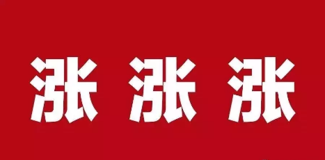 猪价反弹 上涨区域进一步扩大 逢高出栏