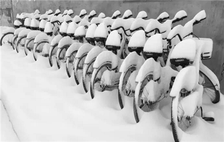 暴击！江苏、安徽、湖北等地雪势凶猛，你的猪场还好吗？