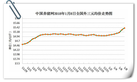 01月08日猪评：疯涨模式已开启！这一波你准备好了吗