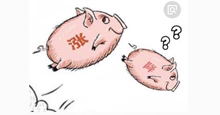 国内生猪均价至15.26元/公斤 建议适重出栏