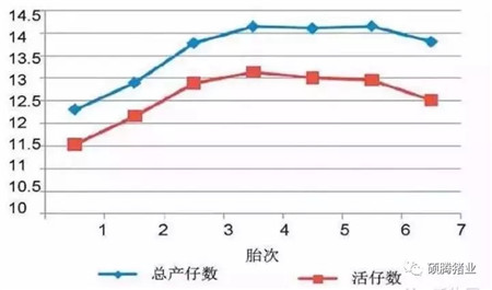 饲养与管理 | 8种母猪一定要淘汰！