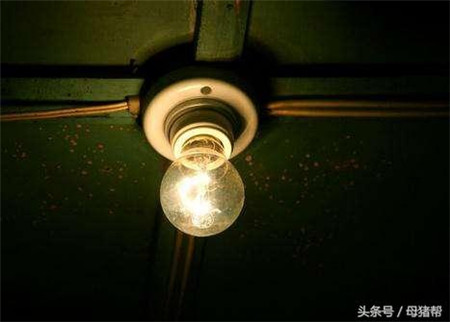 几个灯泡竟能让母猪多产仔？必须重视猪场光照建设！