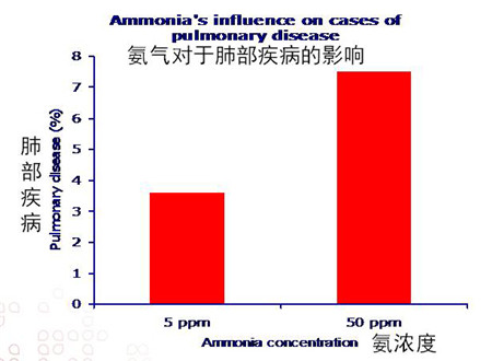 冬季圈舍须保温——高氨高湿怎么办？