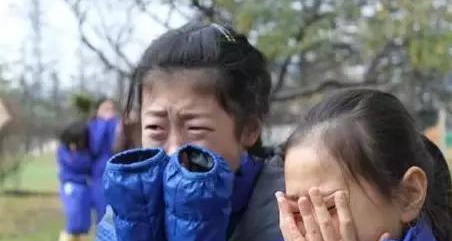 日本震撼教育：让孩子吃掉自己养大的猪，感受生命的意义！