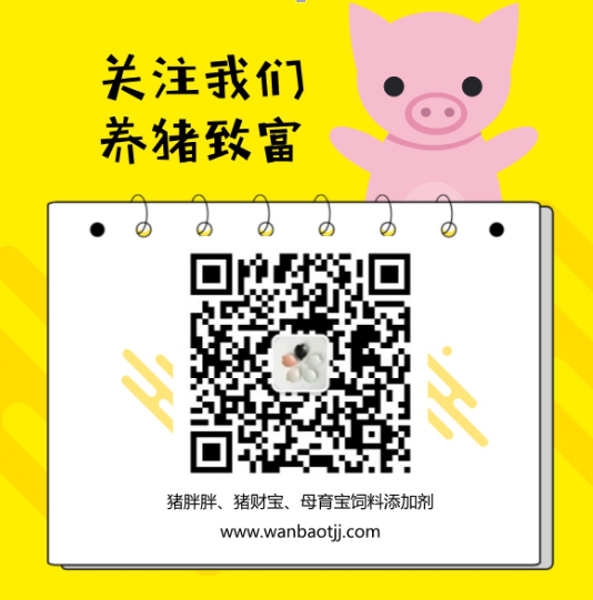 瘦猪肉比肥猪肉市场售价更高 怎样使猪多长瘦肉？ 　　