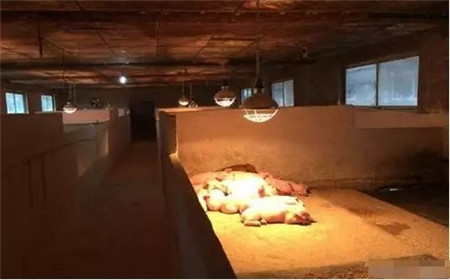 猪场取暖设施哪种方式最好？