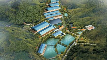 生猪企业动态：温氏、中粮肉食、中新正大、佳和农牧……