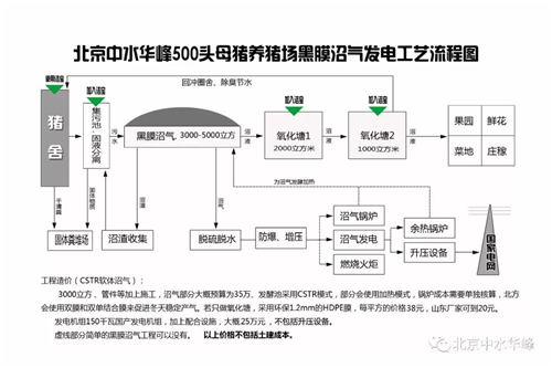 黑膜沼气发电流程和洁宝在其中的应用