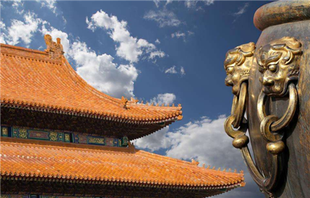 中央发话！将大手笔发展养殖业！好日子来了