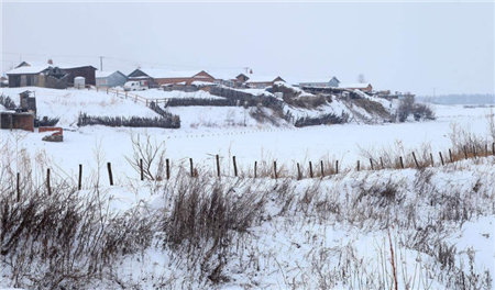 南猪北养初见成效，东北地区在建项目投资已超615亿元