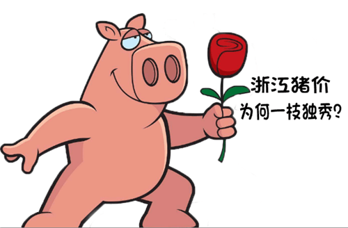 浙江猪价稳占“八元高地”是为哪般？有何启示？