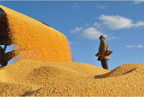 不“烧干锅”，不搞假混改——摸底国企改革“中粮方案”