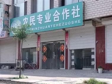 这三类合作社将彻查，养猪人小心不要被坑！