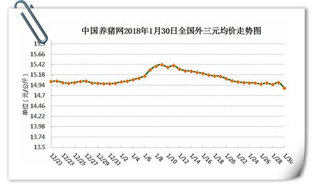 01月30日猪评：供大于求致大幅下跌 后市消费或有所提振