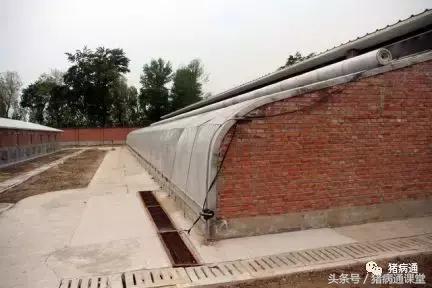 不可忽视的猪舍有害气体！如何保持舍内空气的质量？
