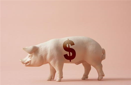 说好2月会涨呢？直接跌至14.53元/公斤是什么鬼！