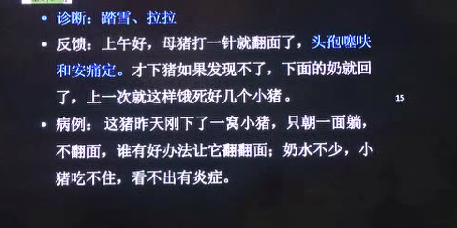 警惕！母猪躺下后不敢翻身，这也是病！