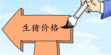 春节前节生猪价格回涨？业内人士：几率依旧存在