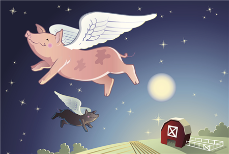 猪价开始上涨，养殖户如何把握出栏节奏