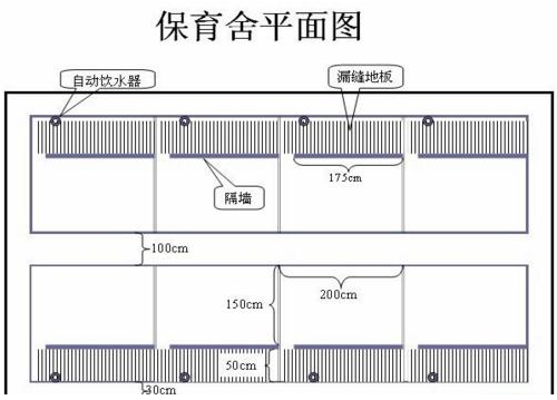 一套小型养猪场设计图纸，给准备建猪场的朋友参考参考！