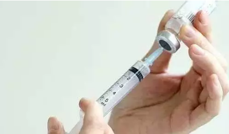 母猪怀孕前后到底该怎么打疫苗？