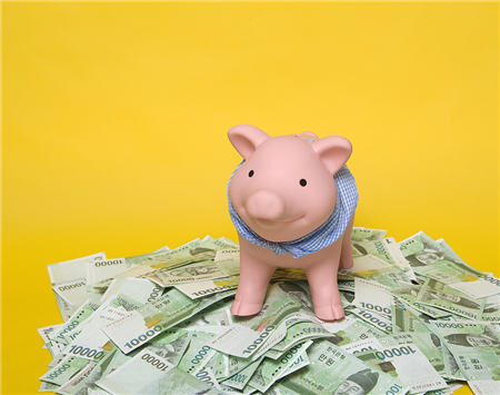 猪价大跌有内幕？专家：呼吁政府调查屠企联合压价行为！