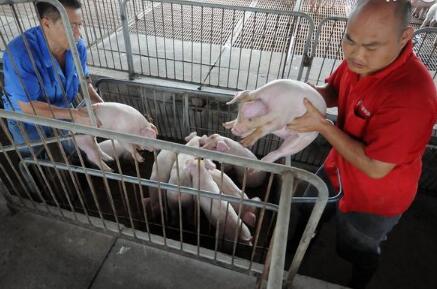 2018年奥特奇全球饲料调查估计世界饲料产量连续2年超过10亿吨