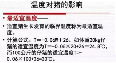谁把握了猪舍的温度，谁就把握了猪群！