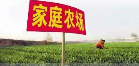 专家：今年养猪想要多赚钱，还得靠农村养猪人！