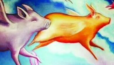 马云开始养猪？两年后达到1000万头！畜牧界不淡定！