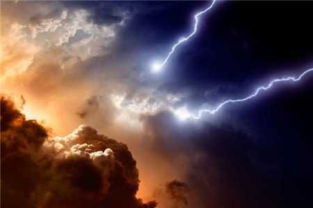 别怪屠企，新年猪价下跌或受环保因素影响