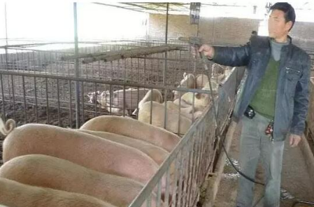 一位久经猪场的老兽医谈猪饲料，句句在理！