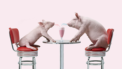 80后许冠创新产业扶贫模式，带领贫困户养果蔬猪致富奔康