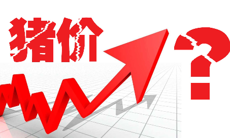 猪价全面回涨！2018年怎么养猪不亏本？