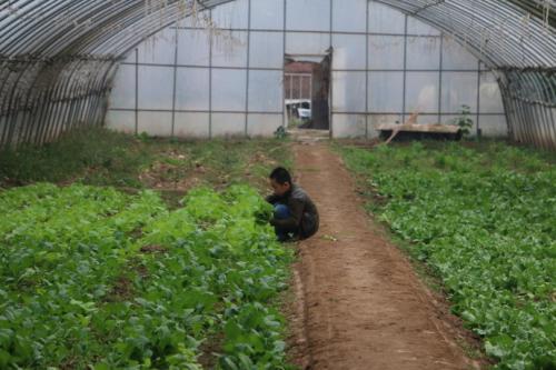 办家庭农场有什么要求，国家有什么补贴？