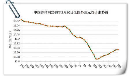 02月20日猪评：节后猪价行情如何？延续上涨或继续寒冬？