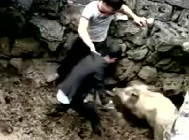 我是一头正经猪，你们都给我躲开……