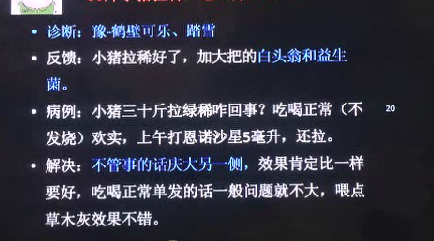 30斤的小猪拉绿稀怎么回事？先看看是否发烧！