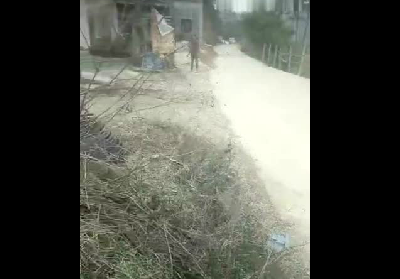 猪跟主人抢电动车，这是一头什么样的猪？？！