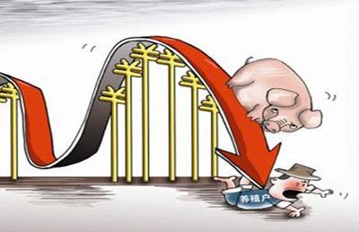 猪价持续下跌，2018年两个盈利点千万要注意