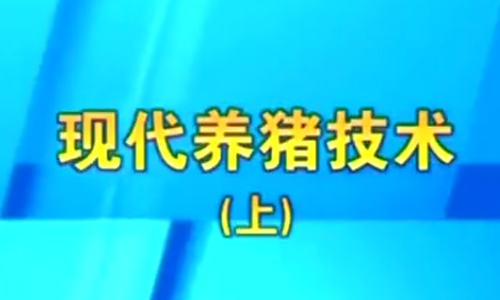 母猪养猪技术 3天掌握 轻松致富